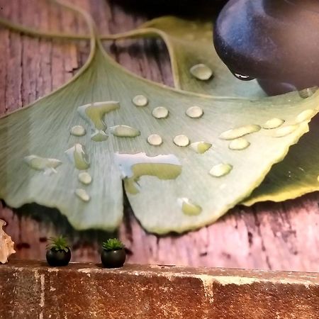 Hotel Ginkgo - Spa Biloba 坎佩尔 外观 照片