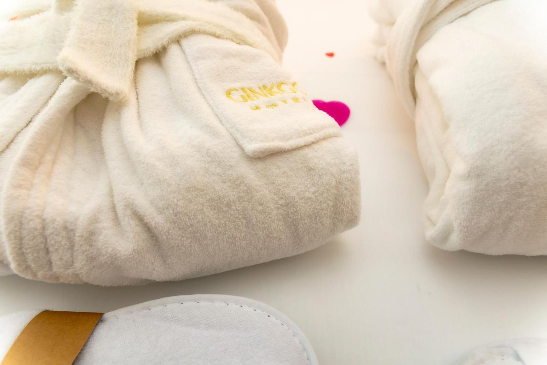 Hotel Ginkgo - Spa Biloba 坎佩尔 外观 照片